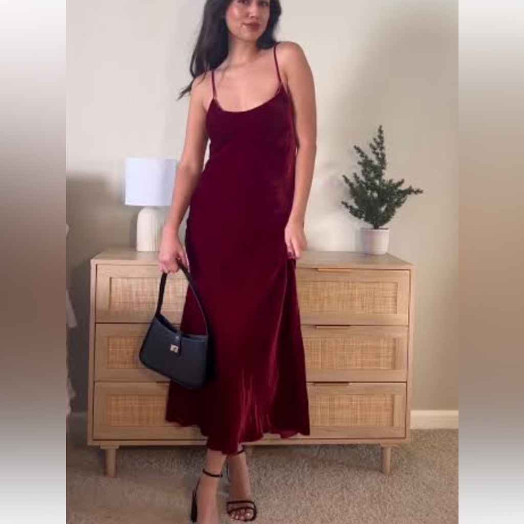 Zara Deep Red Velvet Dress Nwt